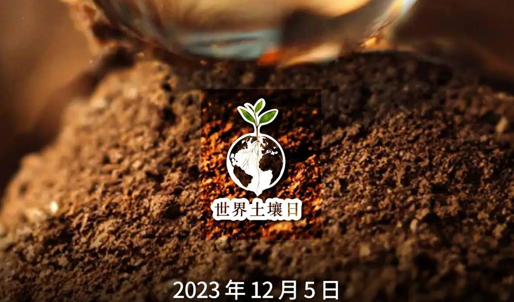 2023世界土壤日：生命之源——土壤也会呼吸吗？