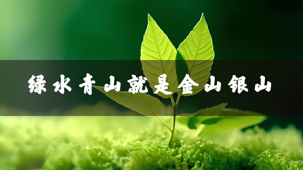 生态环境部就《中共中央 国务院关于全面推进美丽中国建设的意见》答记者问