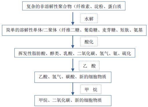 污泥厌氧处理流程