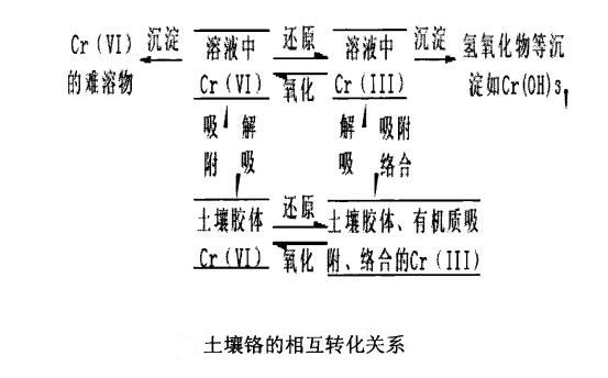 土壤中铬污染的相互转化
