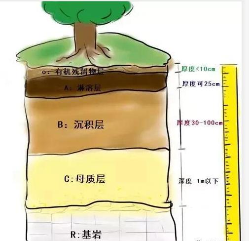 土壤污染分层